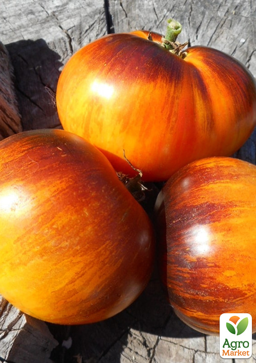 

Томат Alice`s Dream ТМ Vesna Select 20шт