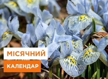 Лунный календарь на март 2023 года