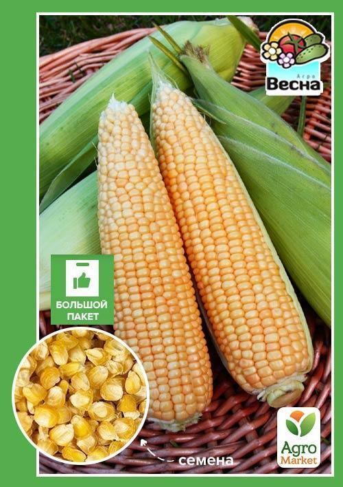 

Кукуруза "Брусница" (Большой пакет) ТМ "Весна" 15г