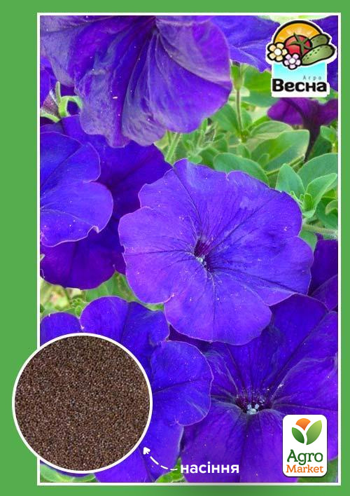 

Петуния крупноцветковая синяя ТМ Весна 0.3г