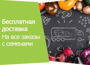 Акция! Бесплатная доставка Акция! Бесплатная доставка