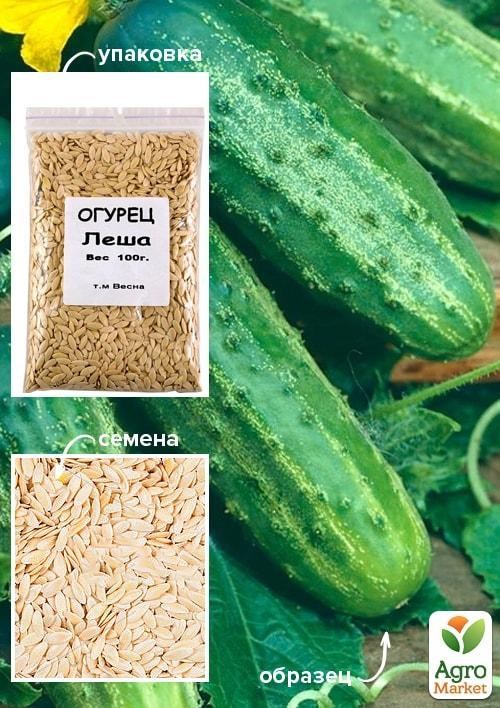 

Огурец Леша ТМ Весна 100г