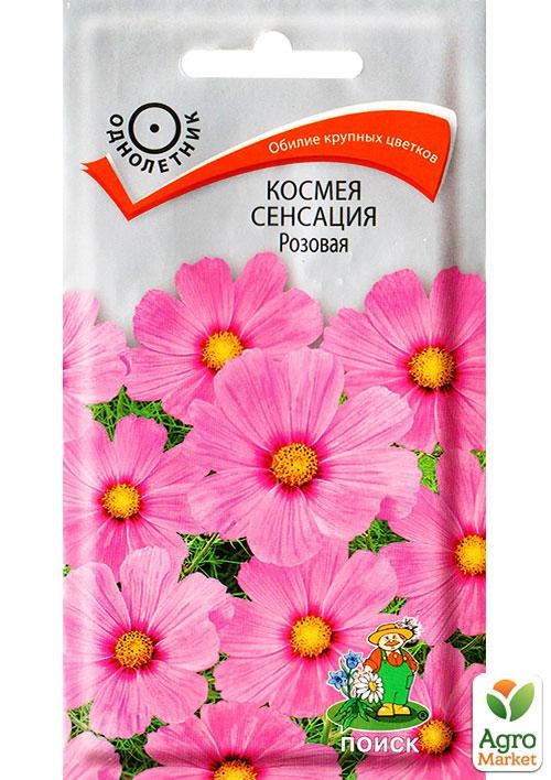 Картинки КОСМЕЯ ЦВЕТОК МНОГОЛЕТНИЙ СЕМЕНА ФОТО