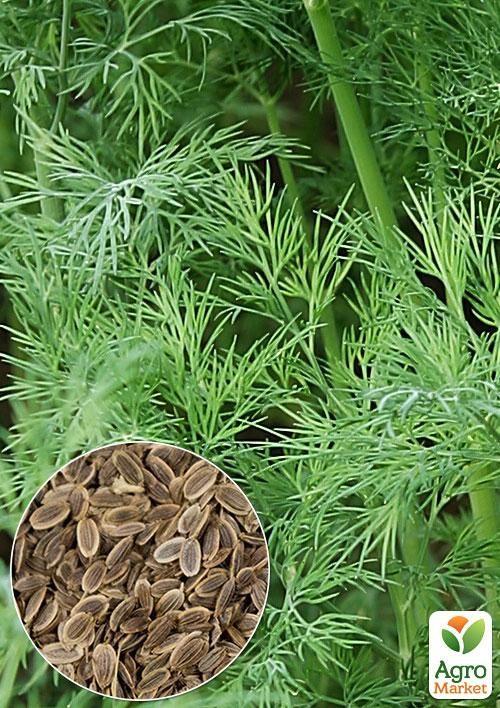 

На развес Укроп Мамонтовый ТМ Весна цена за 20г