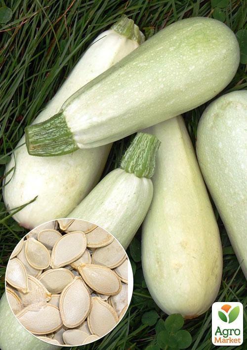 

На вагу Кабачок Грибовський ТМ Весна ціна за 8г