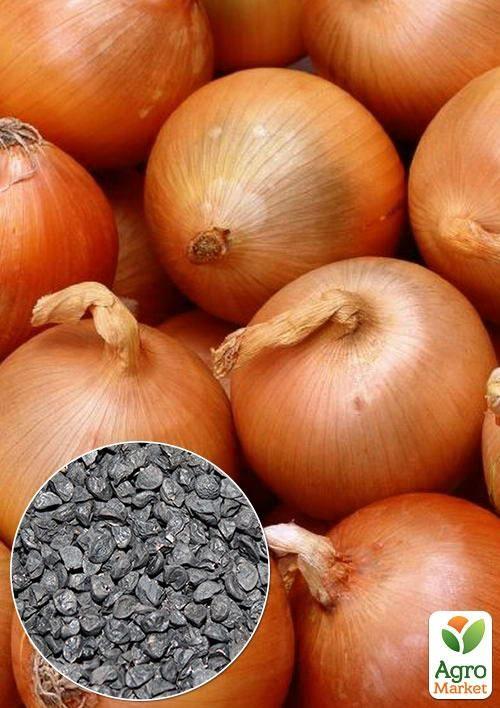 На вагу Цибуля "Крістіна" ТМ "Весна" ціна за 5г