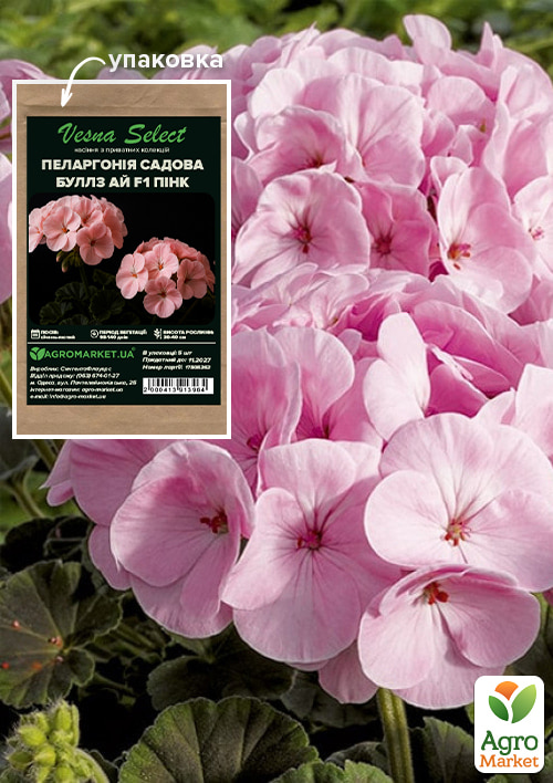 

Пеларгонія садова Буллз Ай F1 пинк ТМ Vesna Select 5шт