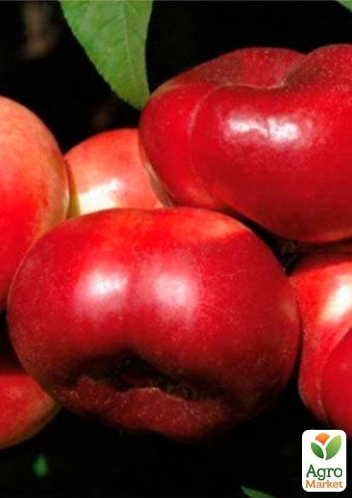 

Нектарин инжирный пирамидальный Саманта (Samantha)