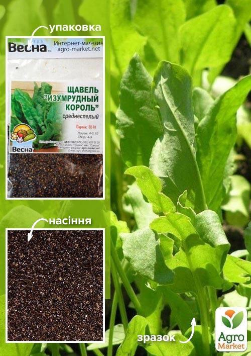 

Щавель Изумрудный король (Зипер) ТМ Весна 1г