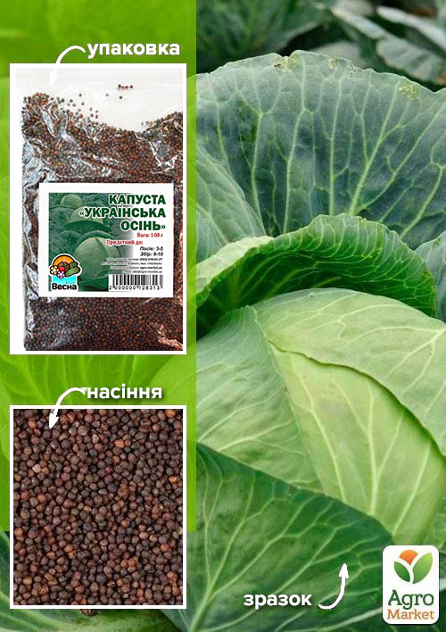 

Капуста Украинская Осень ТМ Весна 100г