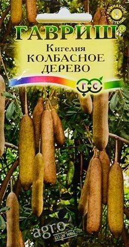 

Кигелия "Колбасное дерево" ТМ "Гавриш" 3шт