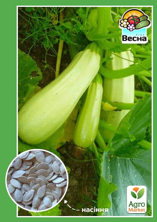 

Кабачок Одесский кустовой ТМ Весна 2г