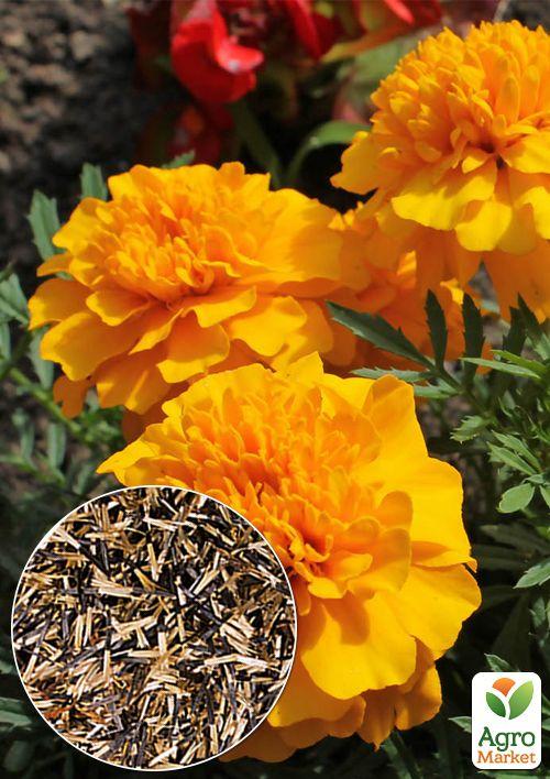 

На вагу Чорнобривці Лемон Фрі ТМ Весна ціна за 2г