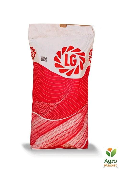 

Кукуруза "ЛГ 30189" ТМ "Лимагрейн" 50000шт