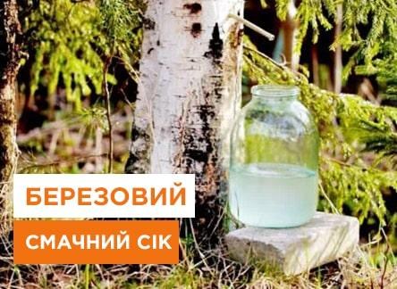 Консервация березового сока 