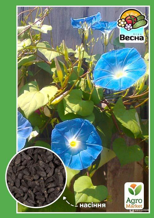 

Іпомея блакитна ТМ Весна 0.5г