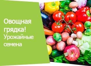 Акция! Овощная грядка Акция! Овощная грядка