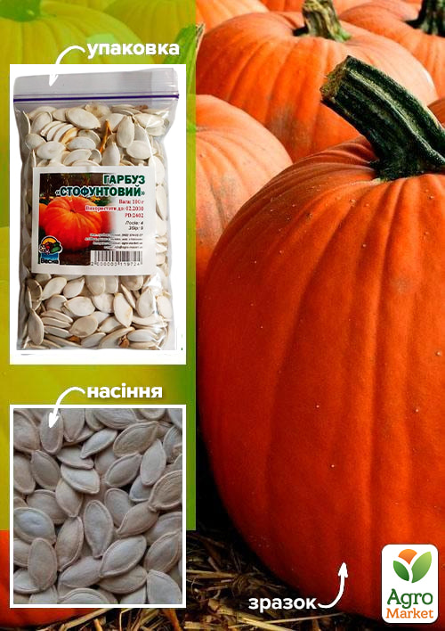 

Тыква Стофунтовая ТМ Весна 100г