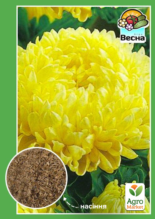 

Айстра Королівський розмір жовта ТМ Весна 0.2г