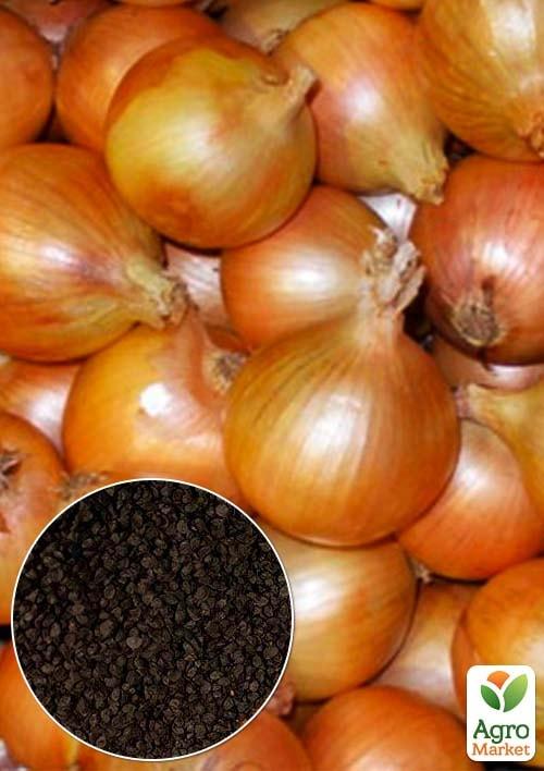 

На развес Лук Задира ТМ Весна цена за 5г