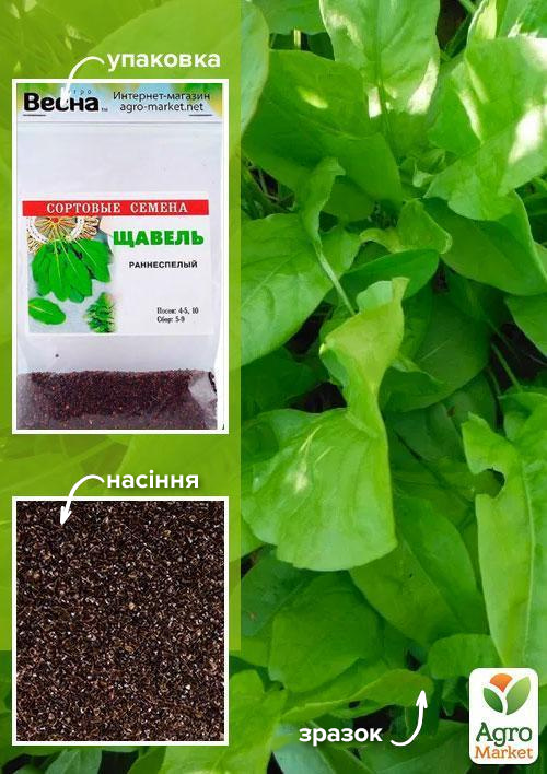 

Щавель (Зипер) ТМ Весна 1г