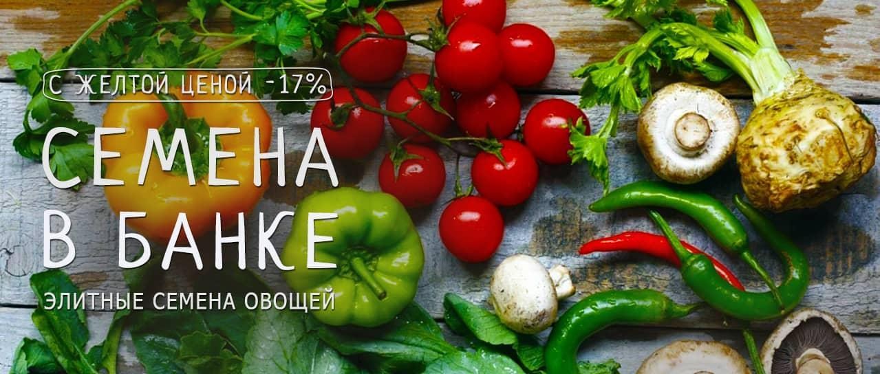 Акция! Эксклюзивно в Agro-Market.ua семена в банке с желтой ценой -17% Акция! Эксклюзивно в Agro-Market.ua семена в банке с желтой ценой -17%