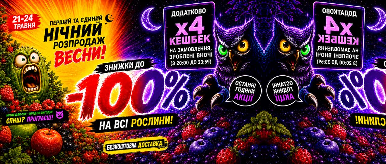 Нічний розпродаж до -100%