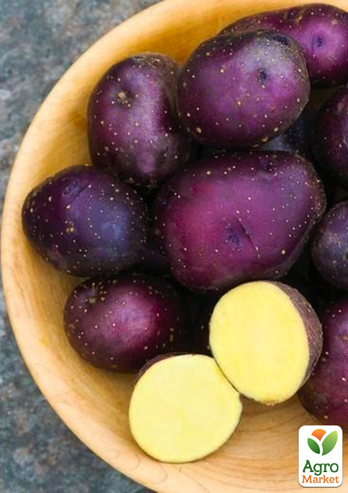 

Картопля Дівень насіннєва (еліта) 1кг