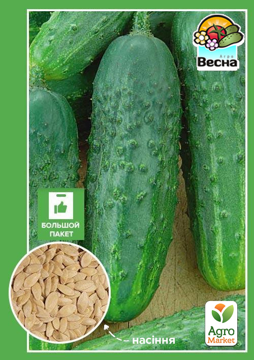 

Огірок Фенікс плюс (Великий пакет) ТМ Весна 2г