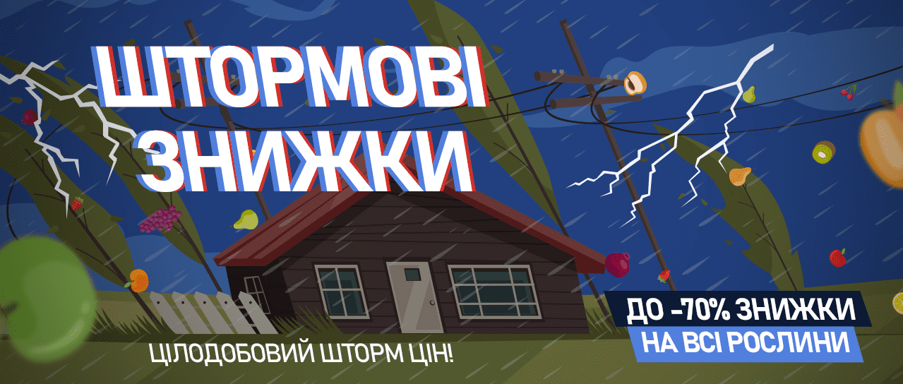 Штормові знижки Штормові знижки