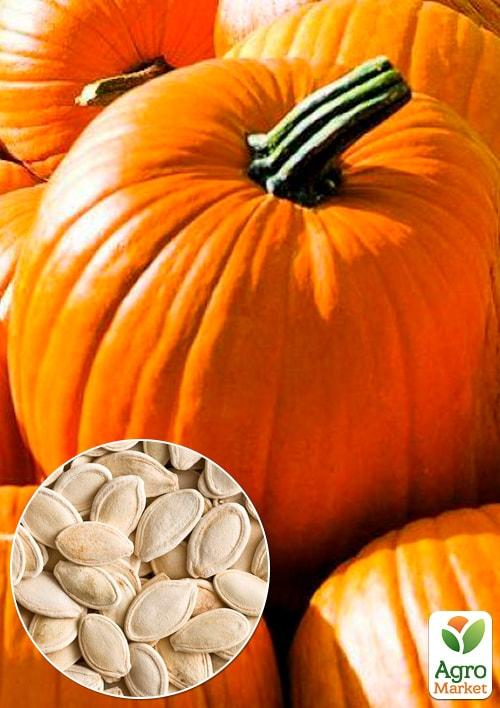 

На развес Тыква Ранняя сахарная ТМ Весна цена за 10г