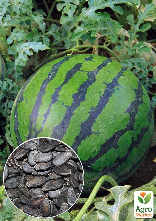 

На развес Арбуз Алая улыбка ТМ Весна цена за 6г