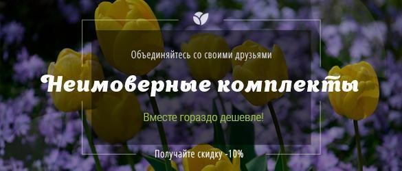 Хорошая возможность получить скидку -10% Хорошая возможность получить скидку -10%