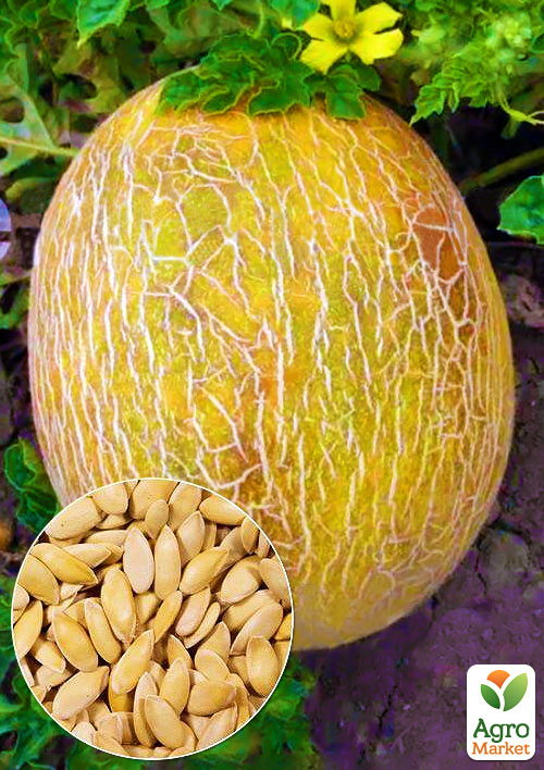 

На вагу Диня Престиж ТМ Весна ціна за 6г