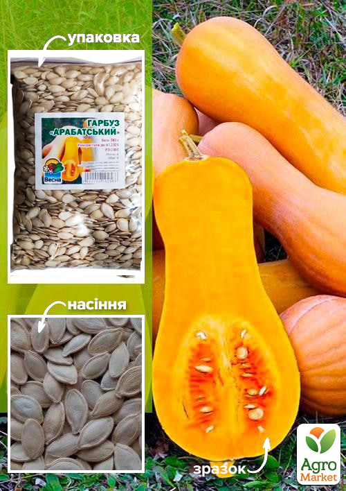 

Гарбуз Арабатський ТМ Весна 500г