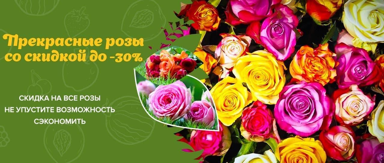Акция! Прекрасные розы со скидкой до -30% Акция! Прекрасные розы со скидкой до -30%