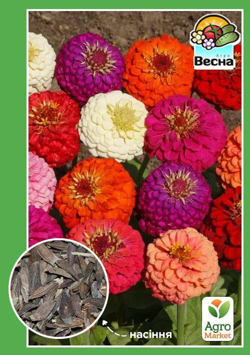 Цинія "Карликова суміш" ТМ "Весна" 0.4г