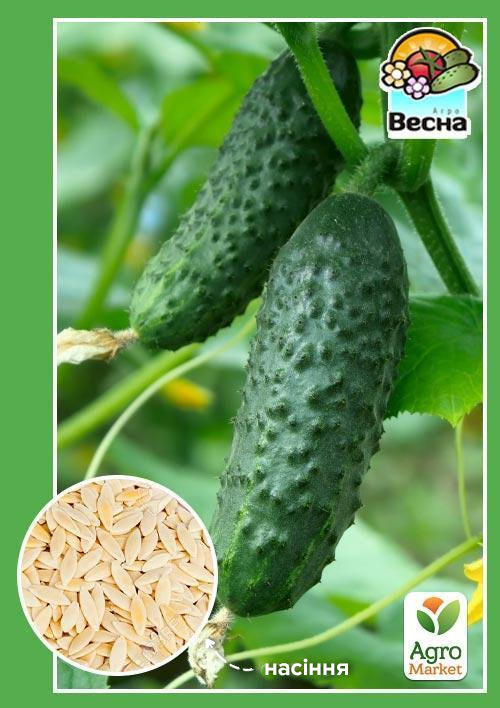 

Огірок Конкурент ТМ Весна 0.5г