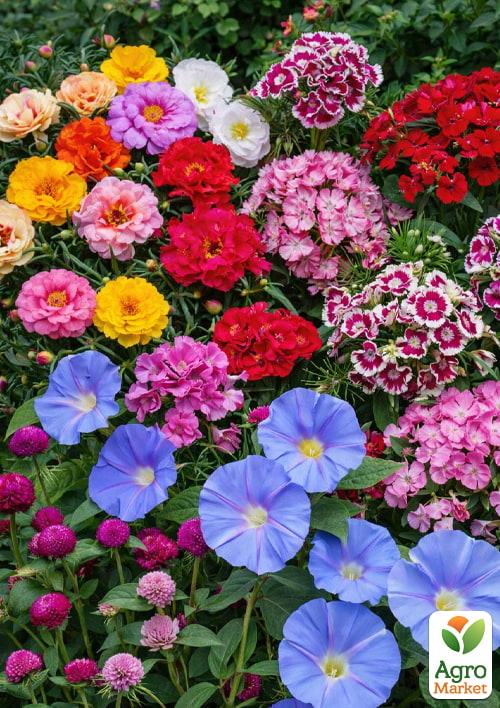 

Комплект семян цветов Полная гармония 5уп