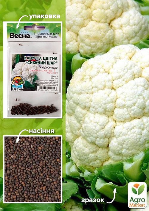 

Капуста цвітна Сніжний шар (Зипер) ТМ Весна 1г