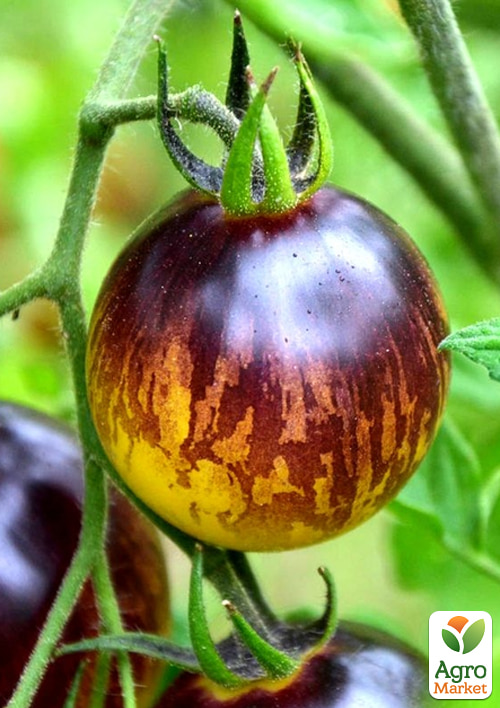 

Томат H-34 Rot ТМ Vesna Select 20шт