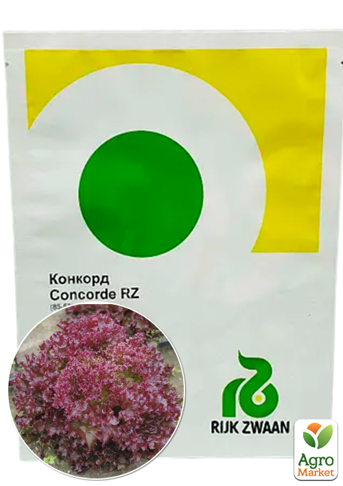 

Салат листовой Конкорд ТМ RIJK ZWAAN 1000шт