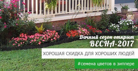 Скидка на лучшие семена цветов в зиппере Скидка на лучшие семена цветов в зиппере