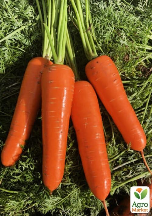 

Морковь "Йорк F1" ТМ "Lark Seeds" 25000шт