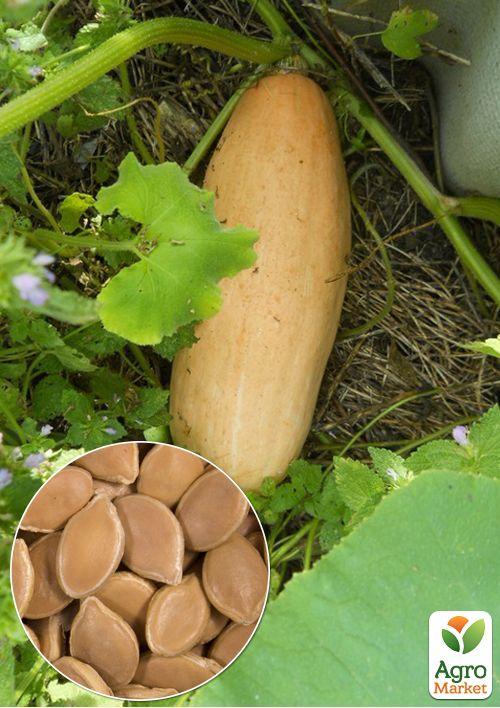 

На развес Тыква Розовый банан ТМ Весна цена за 10г