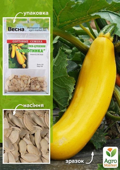 Кабачок-цуккини "Золотинка" (Зипер) ТМ "Весна" 3г