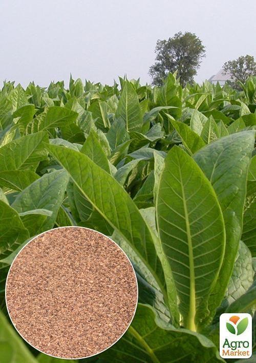 

На развес семена Табак курительный Вирджиния ТМ Весна цена за 1г