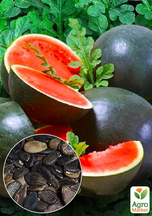 

На развес Арбуз Монарх ТМ Весна цена за 6г