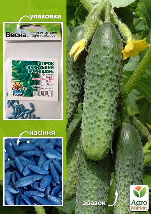 

Огурец обработанный Парижский корнишон (Зипер) ТМ Весна 1г