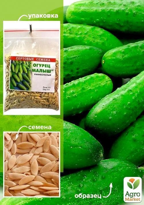 

Огурец Малыш ТМ Весна 100г